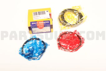 SWT10109ZZ100 RING PISTON  100 4KE