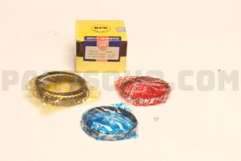 SWT10115ZZ100 PISTON RING SET