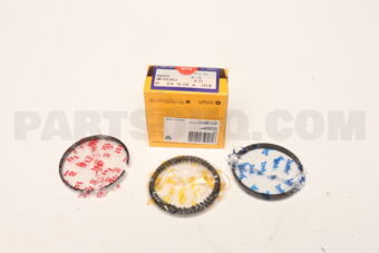 SWT10128025 PISTON RING 25