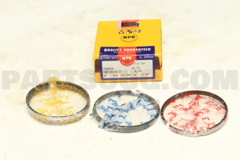 SWT10128ZZ050 PISTON RING SET