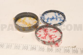 SWT10134050 PISTON RING
