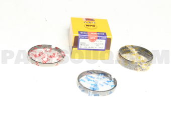 SWT10134STD PISTON RING