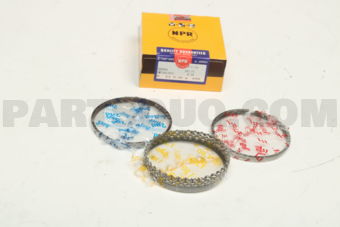 SWT10139050 PISTON RING 050