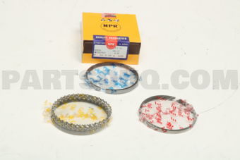 SWT10139050 PISTON RING 050