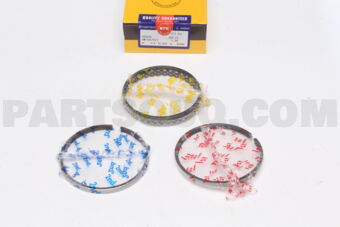 SWT10139ZZ100 PISTON RING SET