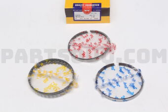 SWT10139ZZ100 PISTON RING SET
