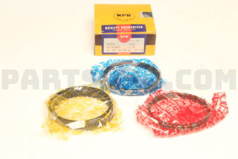 SWT10169ZY0025 RING PISTON  025 7KE