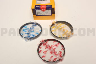 SWT10177ZY0025 RING PISTON SET 025 1MZ