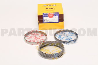 SWT10178ZZ050 PISTON RING SET