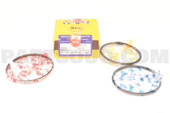 SWT10182ZZ100 PISTON RING SET