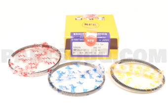 SWT10182ZZ100 PISTON RING SET