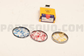 SWT10183ZZ100 PISTON RING SET