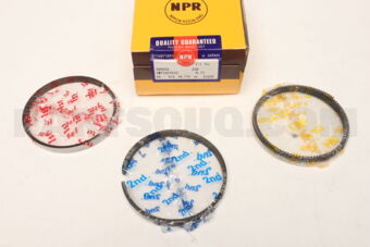 SWT10195ZZ0075 RING PISTON SET 075 1GR FE