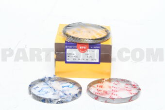 SWT10195ZZ025 RING PISTON  025 1GR