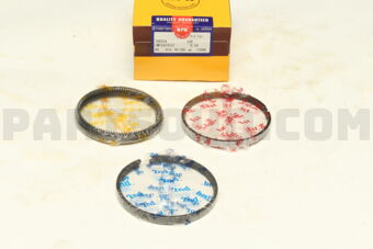 SWT10195ZZ050 PISTON RING SET