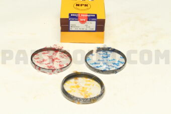 SWT10195ZZ050 PISTON RING SET