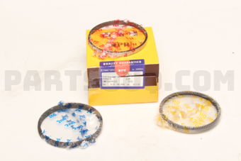 SWT10195ZZSTD PISTON RING SET