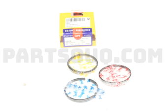 SWT10201ZZSTD PISTON RING SET