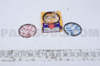 SWT10220ZZ0025 RING PISTON SET 025 2SZ K3VE