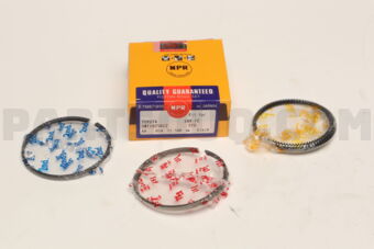 SWT10250ZZSTD PISTON RING SET