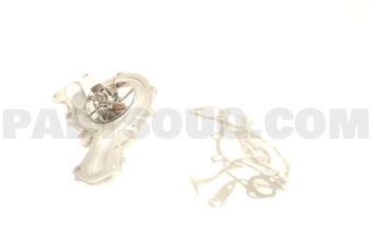 M29 WATER PUMP