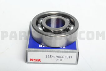 B25198CG12 BEARING