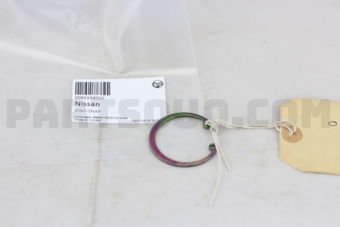 0092224010 RING-SNAP