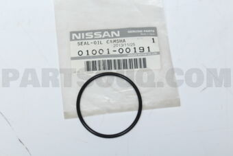 0100100191 SEAL-O RING