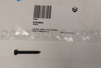 0145100041 SCREW