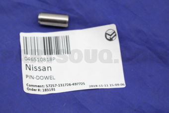 046510818P PIN-DOWEL