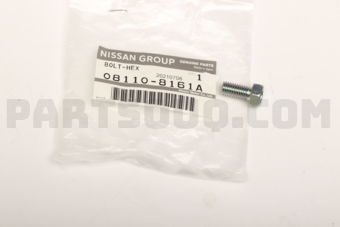 081108161A BOLT HEX