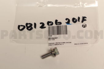 081206201F BOLT-HEX