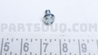 081B08161A BOLT-HEX