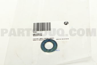 089154421A WASHER-PLAIN