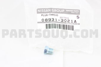 089313021A PLUG-TAPER