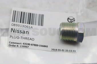 089313061A PLUG-THREAD