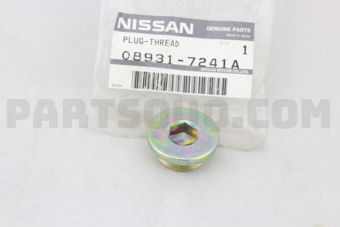 089317241A PLUG-THREAD