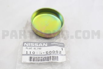 1101990002 PLUG-WELCH