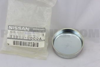 110199000A PLUG-WELCH