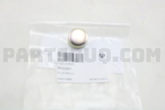 11021N6800 PLUG-WELCH