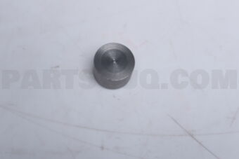 1102216A00 PLUG-BLIND