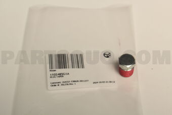 1102485G1A PLUG-TAPER