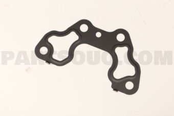 110625CA2A GASKET OUTLET