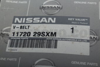 1172029SXM BELT
