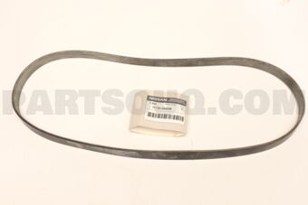 117203SG0B BELT