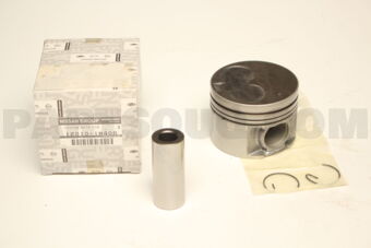 120101W406 PISTON WITH PIN