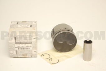 120101W406 PISTON WITH PIN