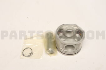 120102S616 PISTON,W/PIN