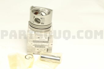 1201045N11 PISTON,W/PIN