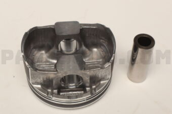 120106KA2B PISTON-W/PIN
